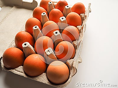 Pack of brown fresh raw chicken eggs in a white carton egg box on a white background close up Stock Photo
