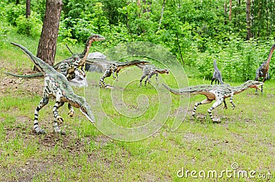 a pack of dinosaurs Coelophysis, models, reconstruction Editorial Stock Photo