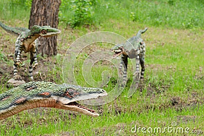 A pack of dinosaurs Coelophysis, models, reconstruction Stock Photo