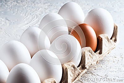 Pack egg white and one beige brown Concept harmful unnatural different other racism Stock Photo