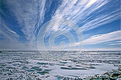 Pack Ice Stock Photo