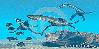 Plesiosaurus Ocean Stock Photo