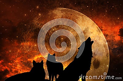 Pack of three wolves with universe and planet in sunset tonality Stock Photo