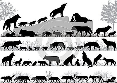 Pack of wolves Vector Illustration
