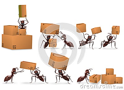 Package delivery mail order logistics Stock Photo