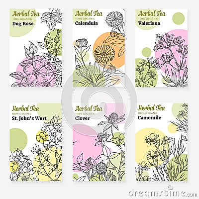 Package templates for herbal tea Vector Illustration