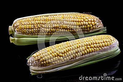 Packaged and sealed fresh grocery store yellow corn. Isolated. on black Stock Photo