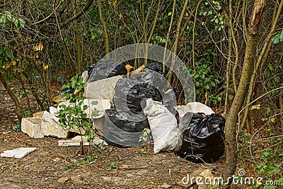 Packages and garbage bags among plants in the nature Stock Photo