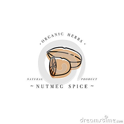 Packaging design template logo and emblem - herb and spice - nutmeg nut. Logo in trendy linear style. Vector Illustration
