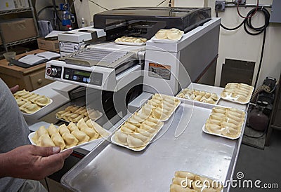 Packaging of dumplings production Stock Photo