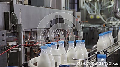 Packaging Process Of Milk Production. White Plastic Bottles Transported ...