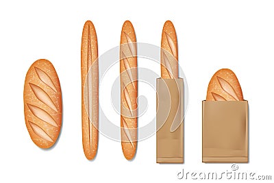 Packed french baguette bread. Set of tasty baked goods for breakfast. Realistic baguette bread and loaf isolated. vector Vector Illustration