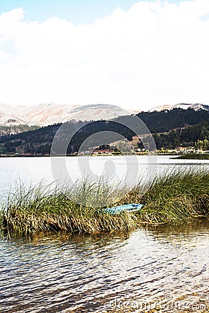 pacucha lake wit and wooden boat anchored in reed plantation splendid on a summer day in andahuaylas peru Stock Photo