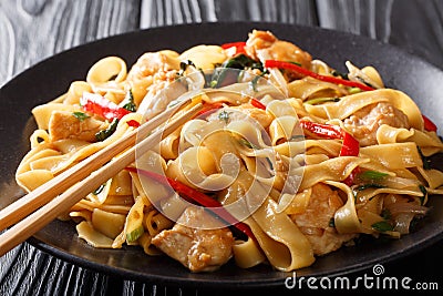 Pad Kee Mao is a traditional Thai dish with chicken, wide rice noodles and plenty of fresh basil in a spicy, sweet and tangy rich Stock Photo