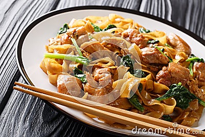 Pad See Ew thai noodles with chicken, chinese broccoli and egg close-up on a plate. horizontal Stock Photo