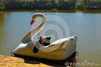 Paddle boat on the lake. Swan paddle boat in a sunny day. Romantic ride. Beautiful, calm and easy waters. Stock Photo