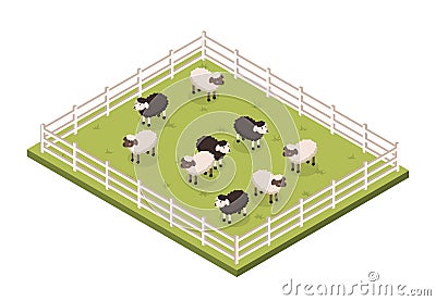 Paddock with sheeps Vector Illustration
