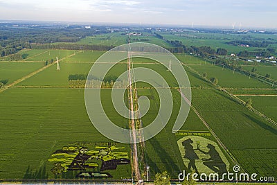 Paddy fields in a rural area of Huai `an city, Jiangsu Province, China Editorial Stock Photo