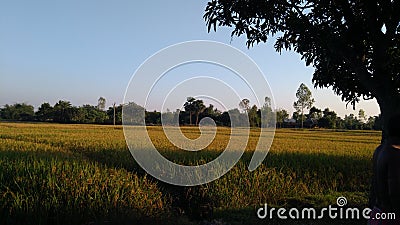 Landscape in Malda Gazol Stock Photo