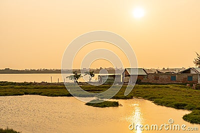 Paddy field in sunset time. Asian countryside landscape. Rural village scenery Stock Photo