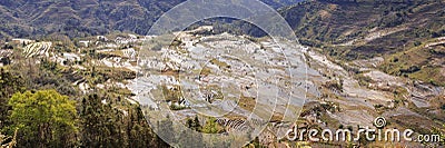 Paddy fields, Rice terraces. In Yunnan province Stock Photo