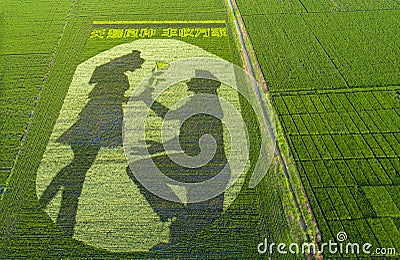 Paddy fields in a rural area of Huai `an city, Jiangsu Province, China Editorial Stock Photo