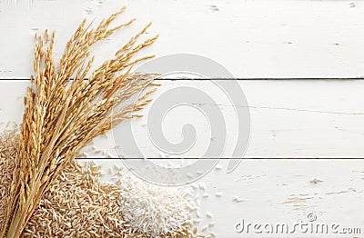 Paddy and rice Stock Photo