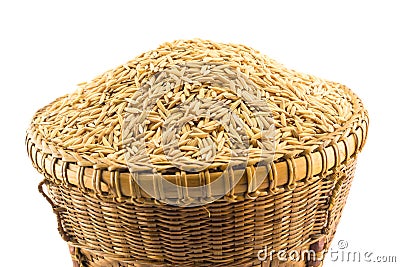 Paddy rice in basket Stock Photo