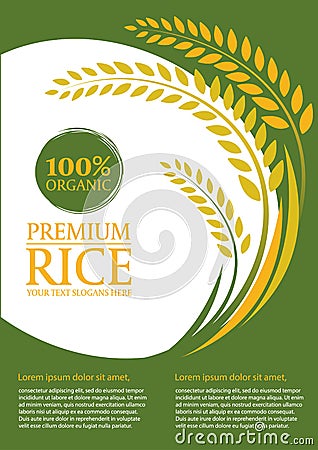 Paddy rice and green background - Layout template size A4 Vector design Vector Illustration