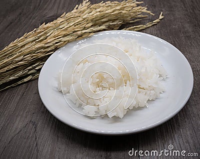 Paddy rice plant on grey wooden backgronud Stock Photo