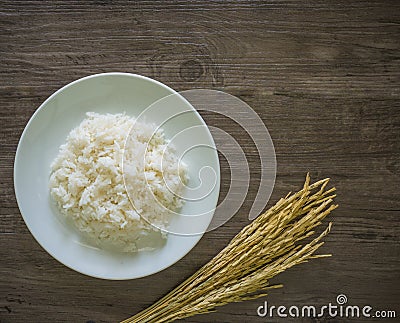 Paddy rice plant on grey wooden backgronud Stock Photo