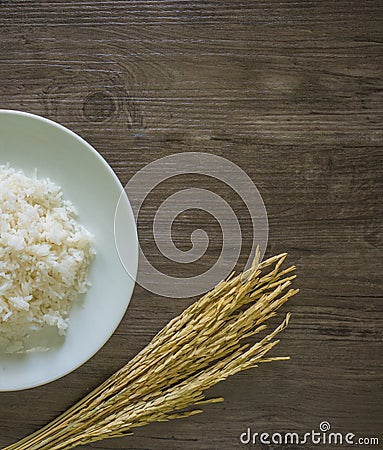 Paddy rice plant on grey wooden backgronud Stock Photo