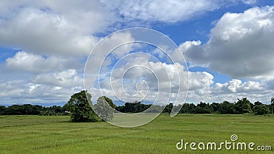 paddy view under the blue sky with clouds in Chiang Mai Stock Photo