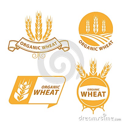 Paddy Wheat rice organic grain products food banner sign vector design Vector Illustration