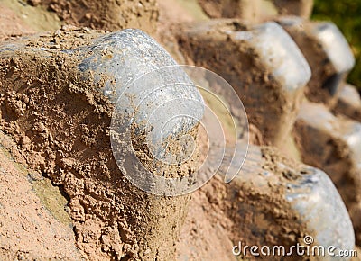 Padfoot drum roller 02 Stock Photo