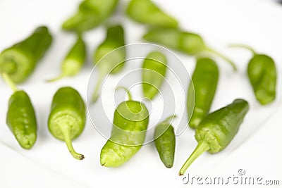 Padron Chilis Stock Photo