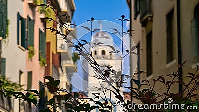 Padua - Tree branch with street view on the astronomical clock tower on Piazza dei Signori in Padua, Veneto, Italy Stock Photo
