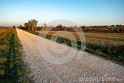 Paesaggio viticolo nel sud della Francia Stock Photo