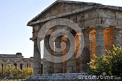 Paestum Temple Stock Photo