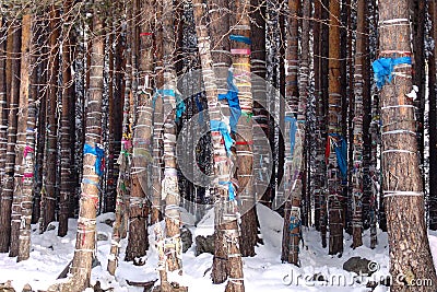 Pagan place of power among the Buryats in Arshan on the sacred source on the river Kyngarga Stock Photo