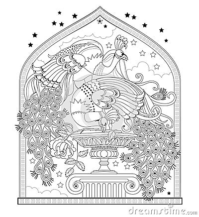 Page for coloring book. Illustration of couple beautiful peacocks from eastern fairy tale. Worksheet for children and adults. Vector Illustration