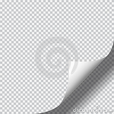 Page curl with shadow on blank sheet of paper Vector Illustration
