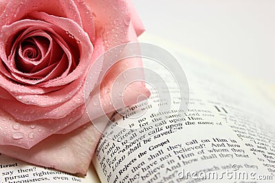 Page of an Open Bible Page Stock Photo