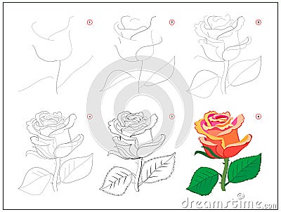 Page shows how to learn to draw step by step beautiful rose flower. Developing children skills for drawing and coloring. Printable Vector Illustration