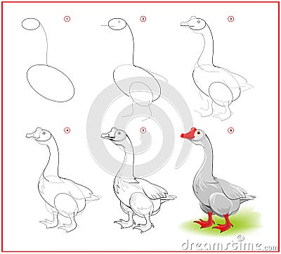 Page shows how to learn to draw step by step cute goose from farm. Developing children skills for drawing and coloring. Printable Vector Illustration