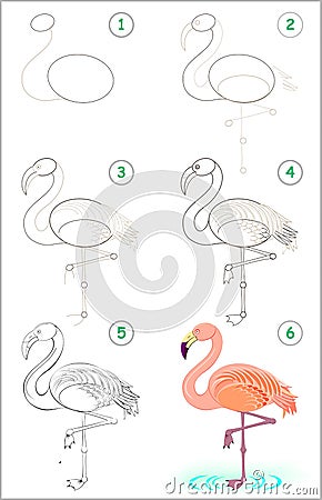 Page shows how to learn step by step to draw a cute flamingo. Developing children skills for drawing and coloring. Vector Illustration