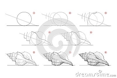 Page shows how to learn to draw sketch of sea shell. Pencil drawing lessons. Educational page for artists. Textbook for developing Vector Illustration