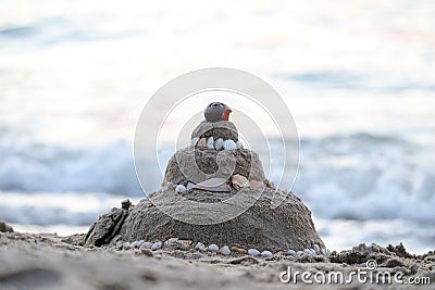 Pagoda sand on the beach is the culture has instilled Buddhist religion in children, by play through the sand formation Stock Photo