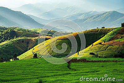 Pah Pong Piang Stock Photo