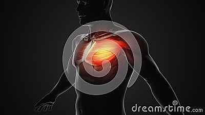 Pain and injury in the Chest Pectoralis Muscles Stock Photo